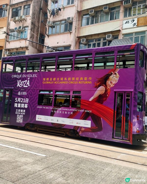 太陽馬戲團電車廣告！🤩 捕捉成功！🎪西灣河打卡！📸