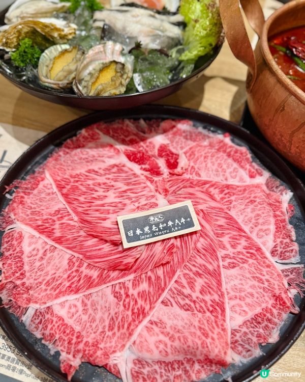 【召喚椰子控！椰樂祭開動🥥🔥】