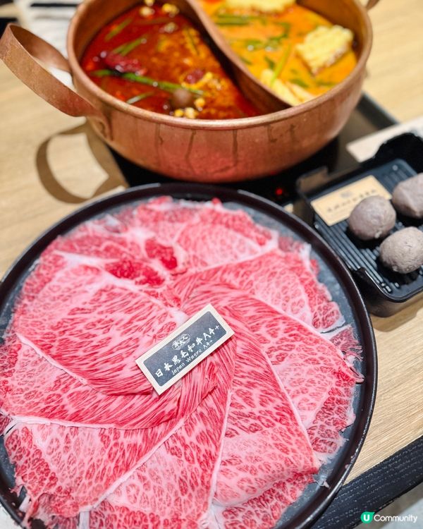 【召喚椰子控！椰樂祭開動🥥🔥】