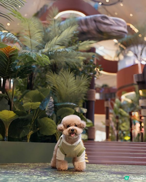 🦖🪺 侏羅紀世界 🌳🪵