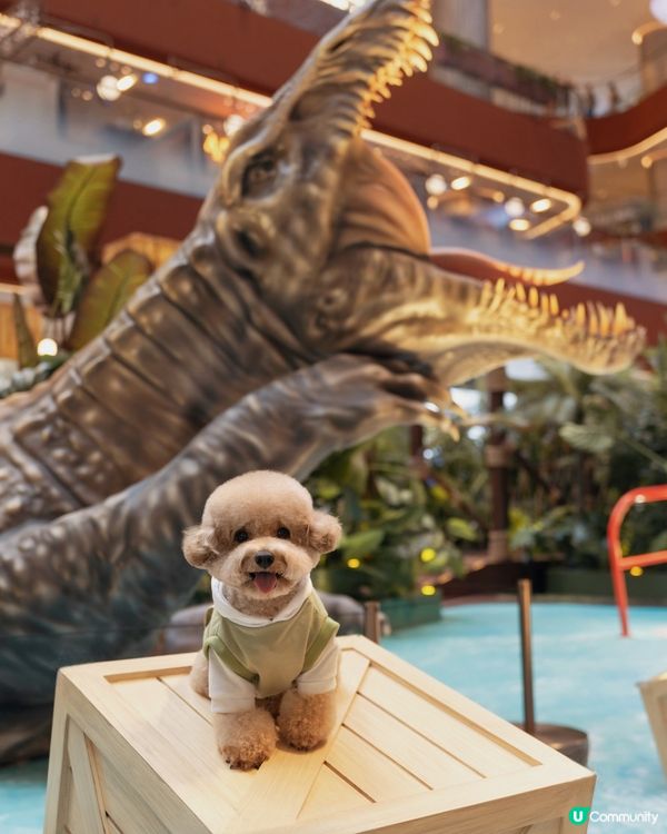 🦖🪺 侏羅紀世界 🌳🪵