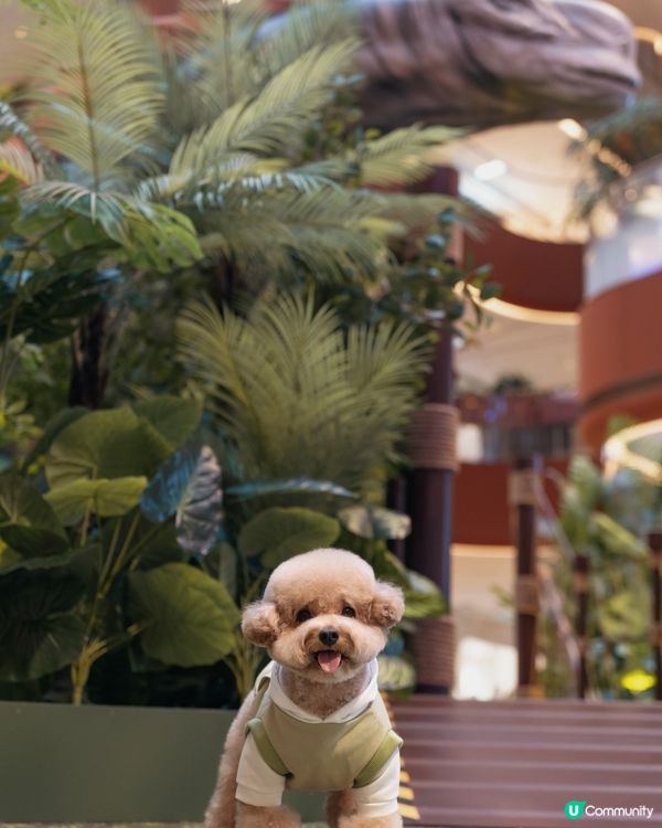 🦖🪺 侏羅紀世界 🌳🪵