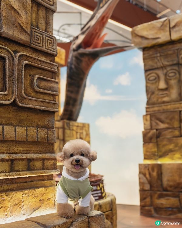 🦖🪺 侏羅紀世界 🌳🪵