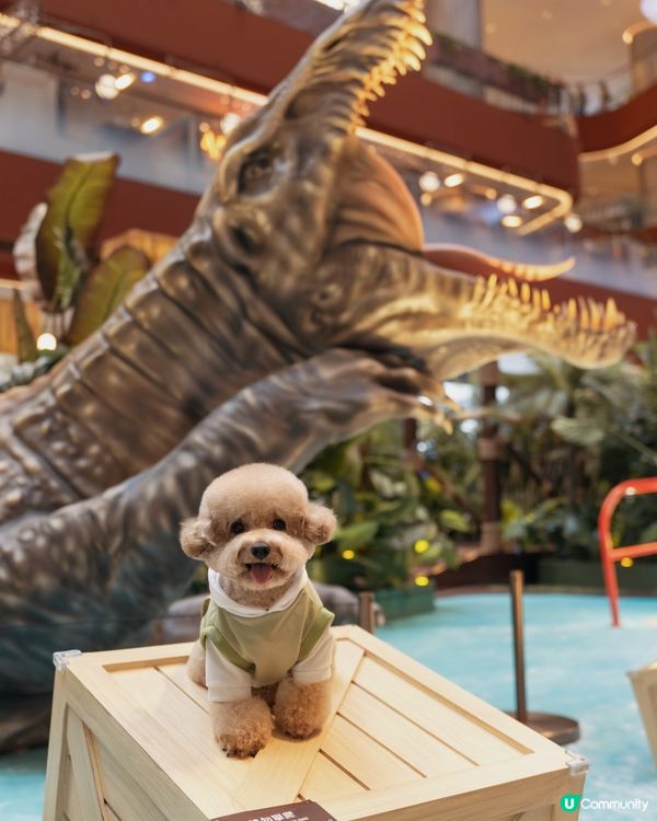 🦖🪺 侏羅紀世界 🌳🪵