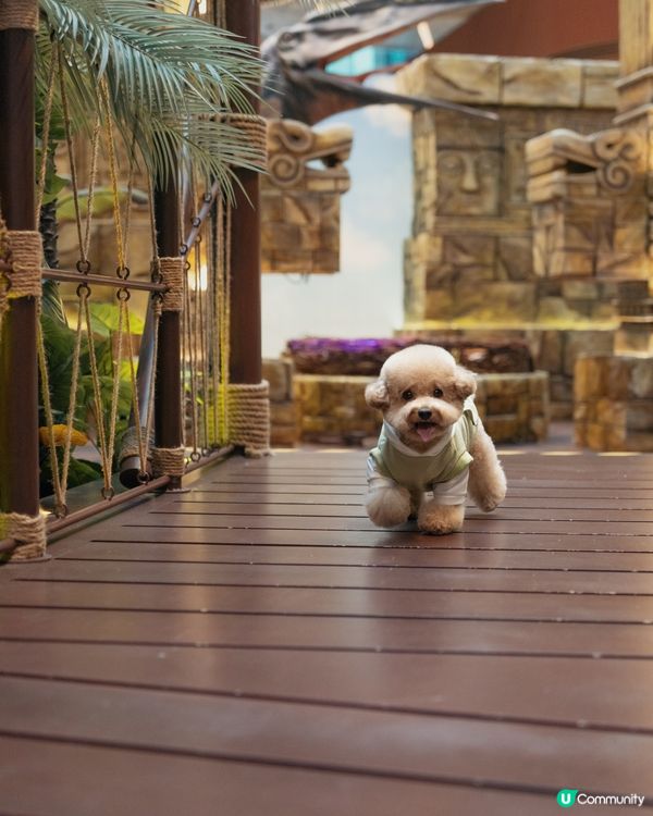 🦖🪺 侏羅紀世界 🌳🪵