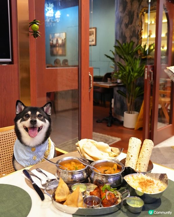 米芝蓮印度菜🤤！一人餐勁飽😋！CP值高👍🏼
