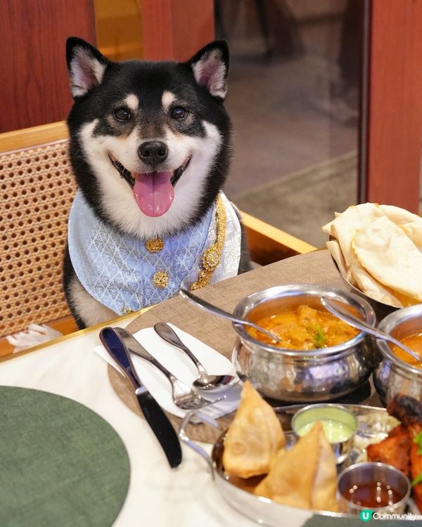 米芝蓮印度菜🤤！一人餐勁飽😋！CP值高👍🏼