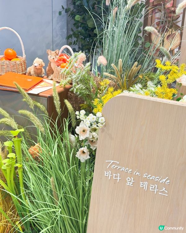 夏日陽光遊☀️！韓式清新美食😋！