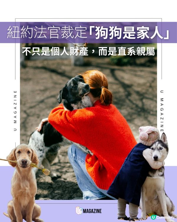 紐約法官裁定「狗狗是家人」！不只是個人財產，而是直系親屬！