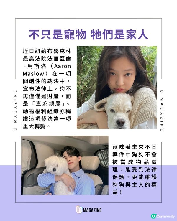 紐約法官裁定「狗狗是家人」！不只是個人財產，而是直系親屬！