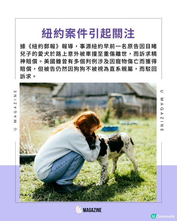 紐約法官裁定「狗狗是家人」！不只是個人財產，而是直系親屬！