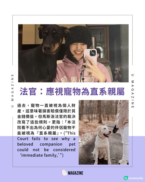 紐約法官裁定「狗狗是家人」！不只是個人財產，而是直系親屬！