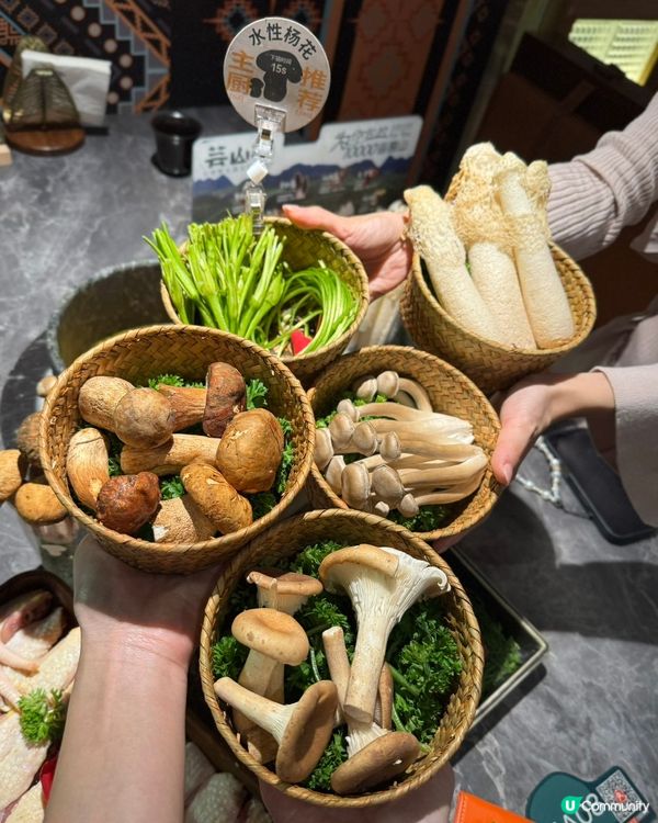 雲南菌鍋開動！🍄🤤 不鮮不食！
