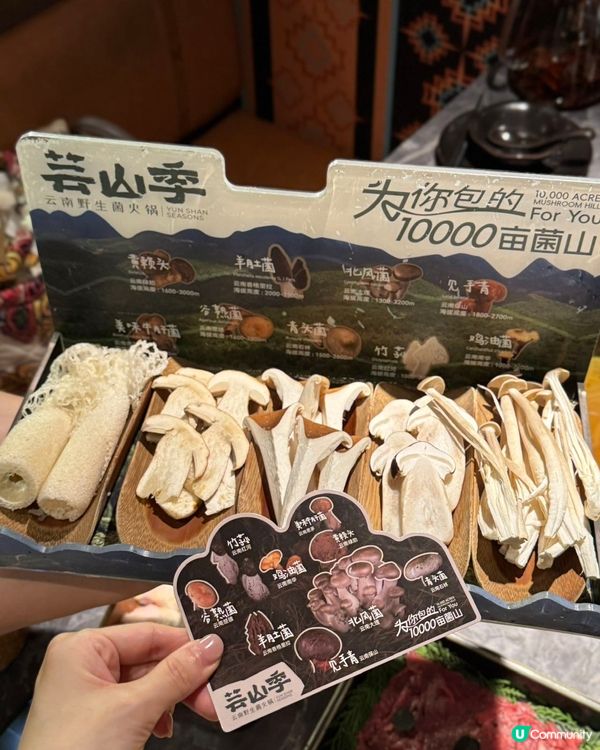 雲南菌鍋開動！🍄🤤 不鮮不食！