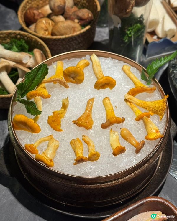 雲南菌鍋開動！🍄🤤 不鮮不食！