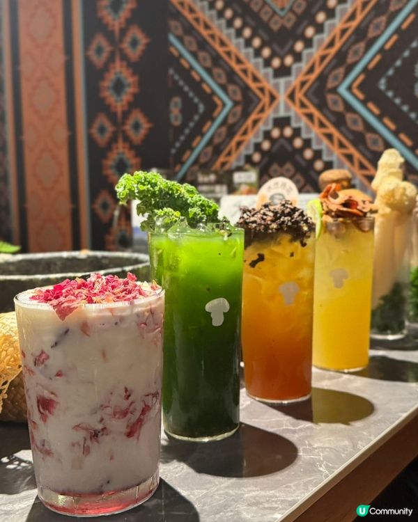 雲南菌鍋開動！🍄🤤 不鮮不食！