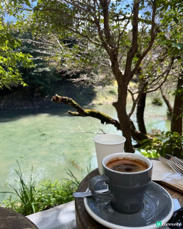 京都文青必去cafe🌿