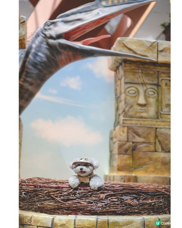 Jacky @ Jurassic world🦖🦕🦏