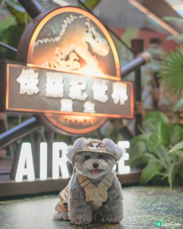 Jacky @ Jurassic world🦖🦕🦏