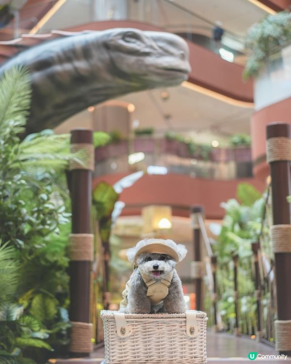 Jacky @ Jurassic world🦖🦕🦏