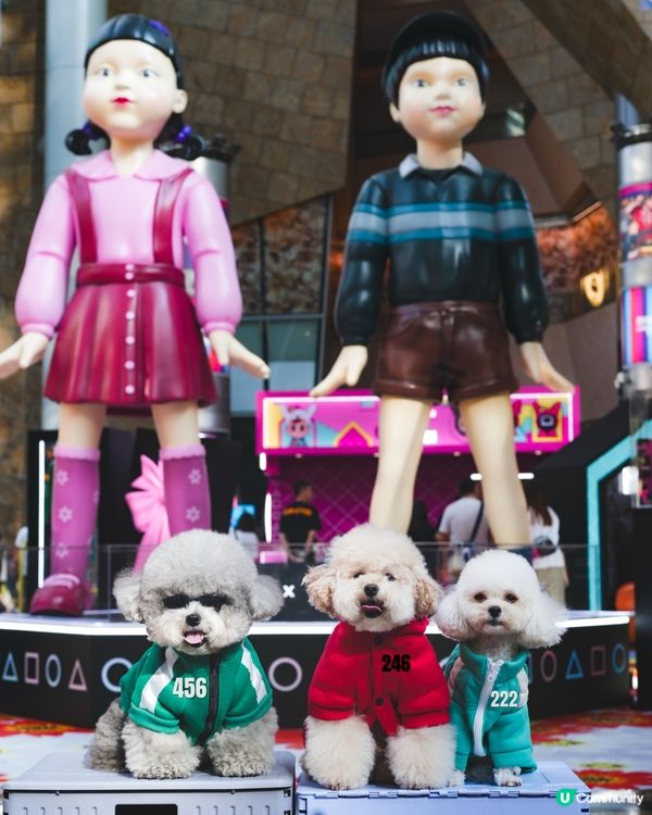 🩶I’m the winner of the game💚