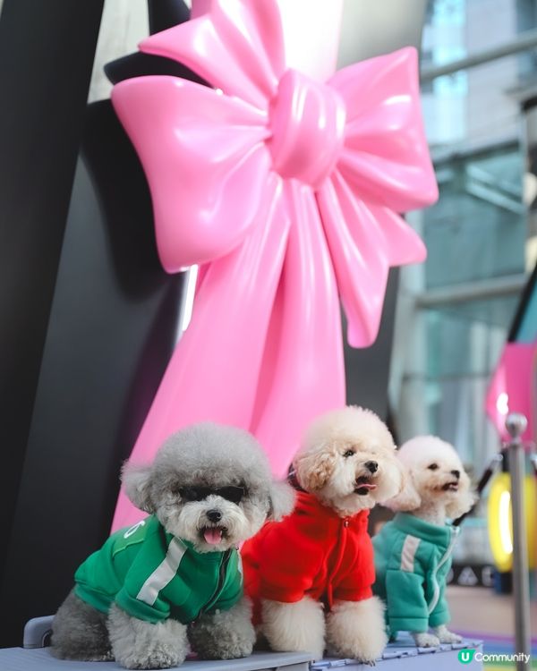 🩶I’m the winner of the game💚