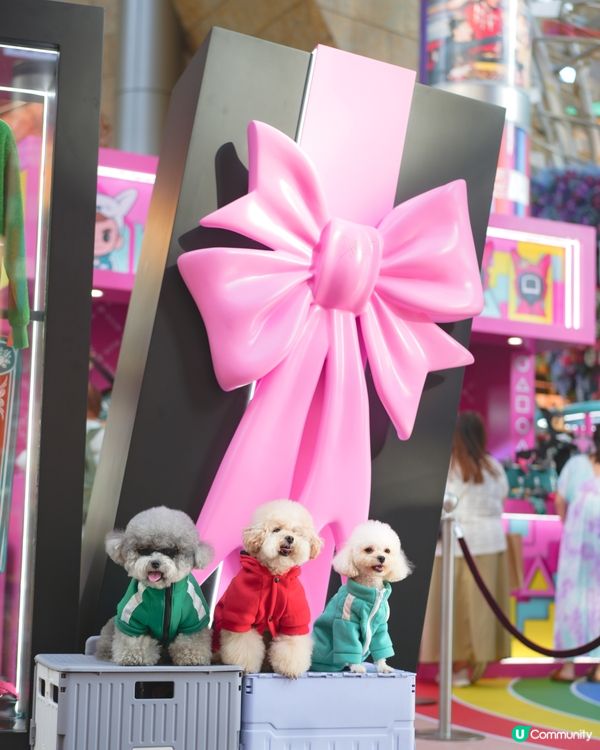 🩶I’m the winner of the game💚