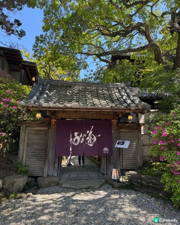 奈良菊水樓鰻魚飯🍱