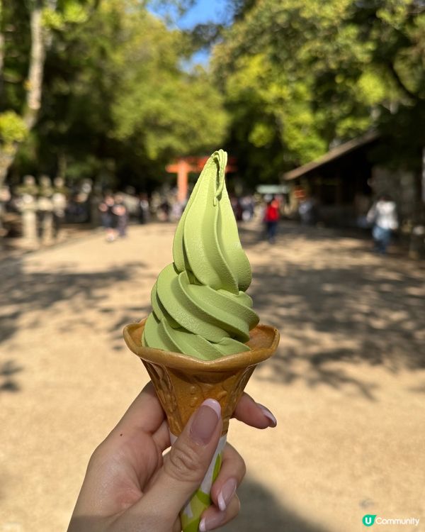 奈良公園餵鹿記 🦌！ 鹿仙貝攻略 🍘！