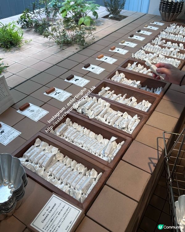 東京人氣手信 💕 Number Sugar 手作數字焦糖 🍬