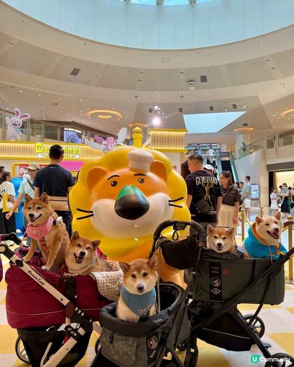 🦁愉快動物影愉快動物餅🐘