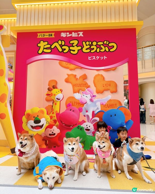 🦁愉快動物影愉快動物餅🐘