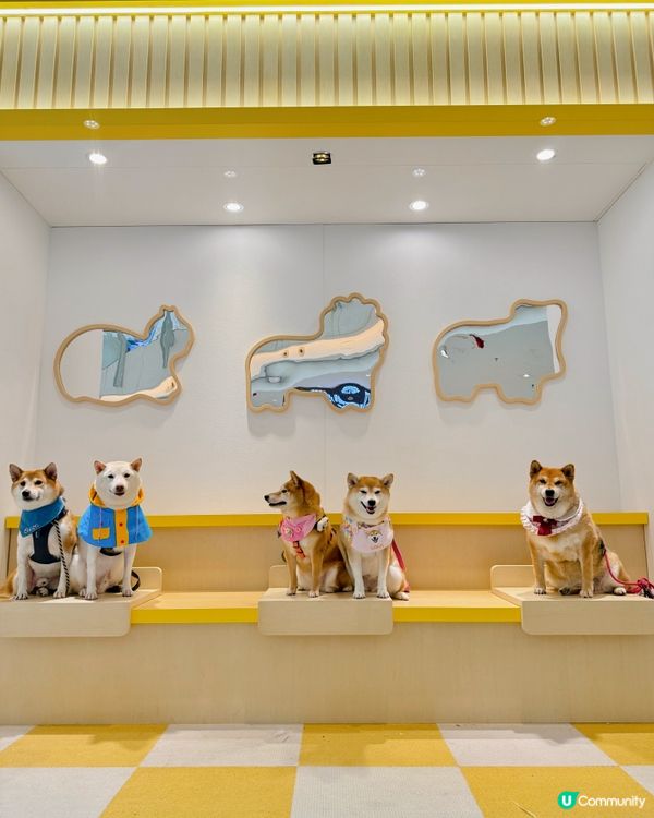 🦁愉快動物影愉快動物餅🐘