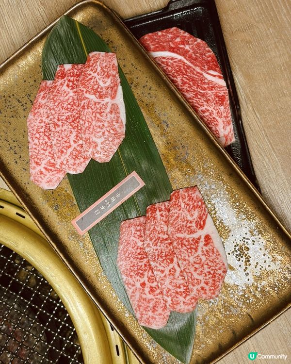 🔥120分鐘喪食！A4+和牛盛宴