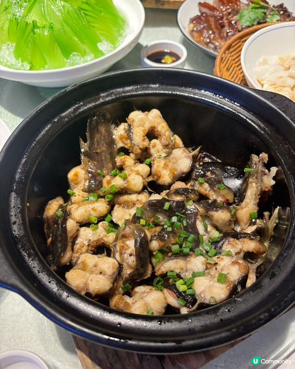 五稻廚房粵西菜，正宗滋味😋！家庭聚餐首選！ #粵菜 #美食