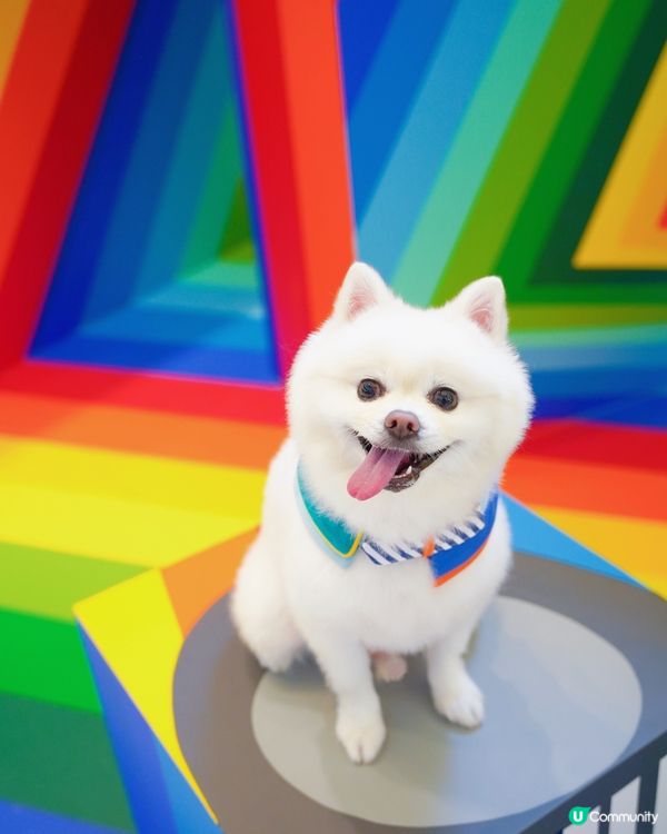 ☀️夏天就係要colorful🎨