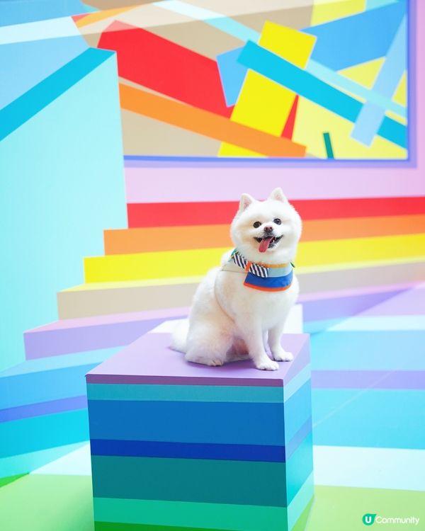 ☀️夏天就係要colorful🎨