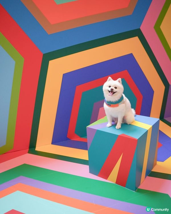 ☀️夏天就係要colorful🎨