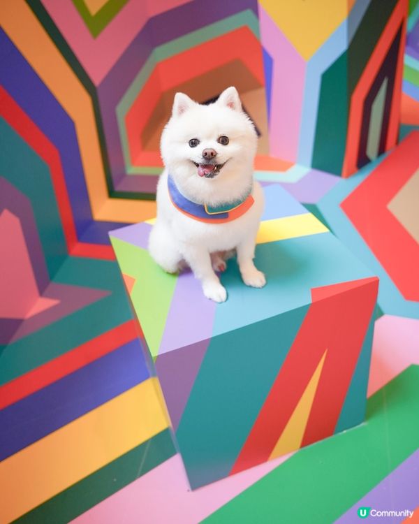 ☀️夏天就係要colorful🎨