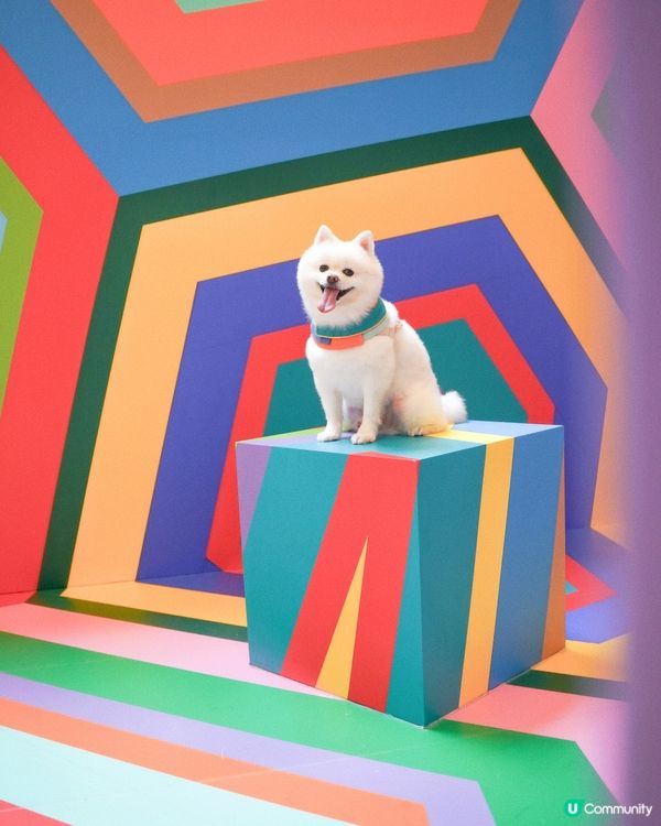 ☀️夏天就係要colorful🎨