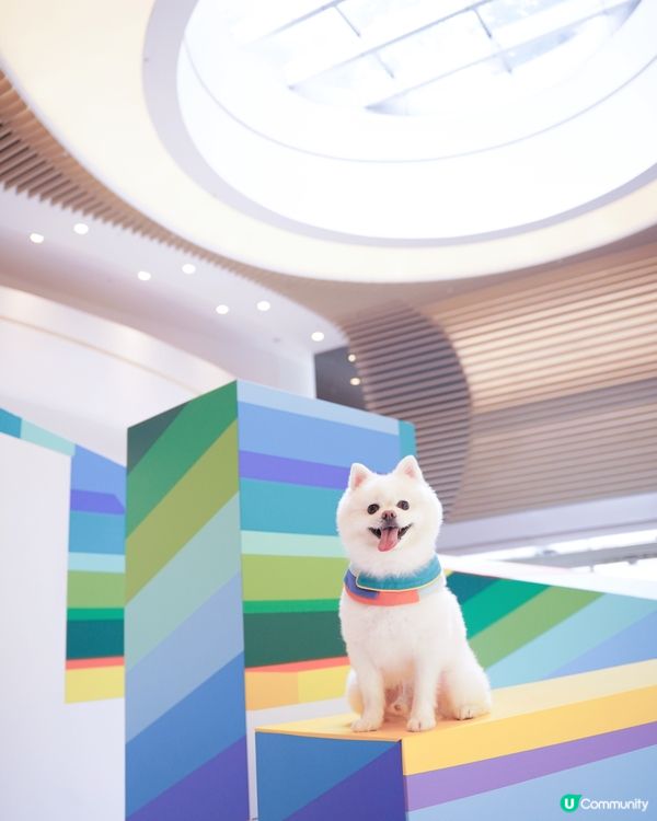 ☀️夏天就係要colorful🎨