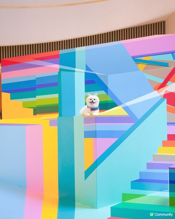 ☀️夏天就係要colorful🎨