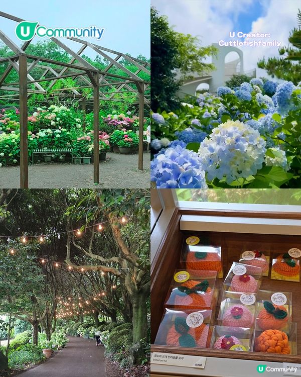 濟州島必去景點10選 城山日出峰／海女表演／抹茶園／必食推介