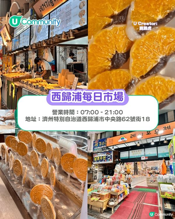 濟州島必去景點10選 城山日出峰／海女表演／抹茶園／必食推介