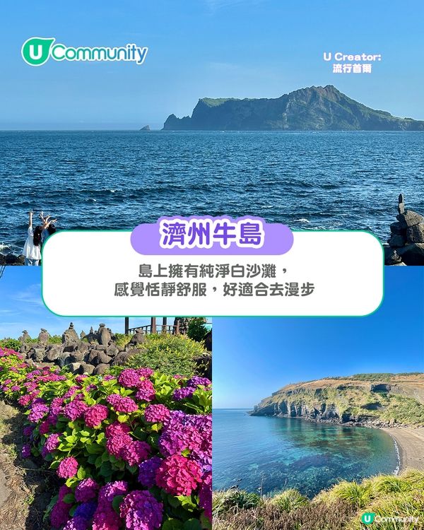 濟州島必去景點10選 城山日出峰／海女表演／抹茶園／必食推介