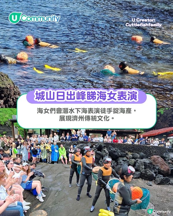 濟州島必去景點10選 城山日出峰／海女表演／抹茶園／必食推介