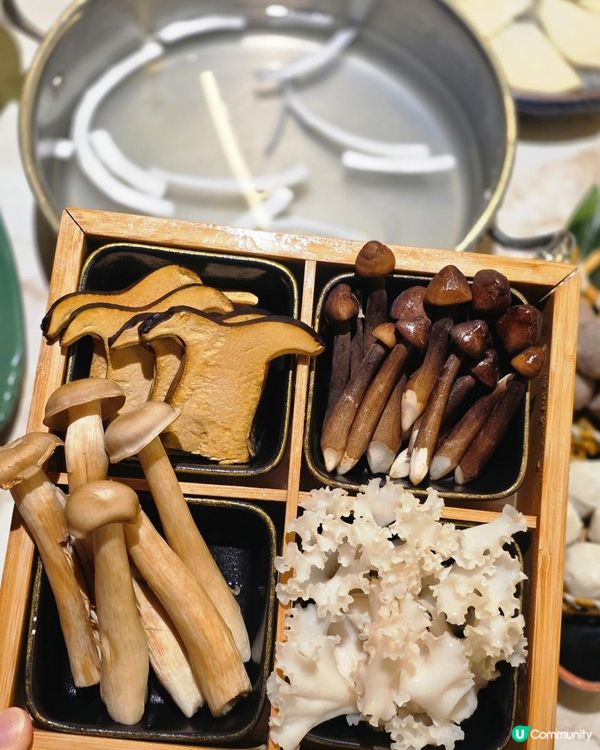 🥥四季椰林椰子雞｜海南風味登陸香港！原汁原味超正💯