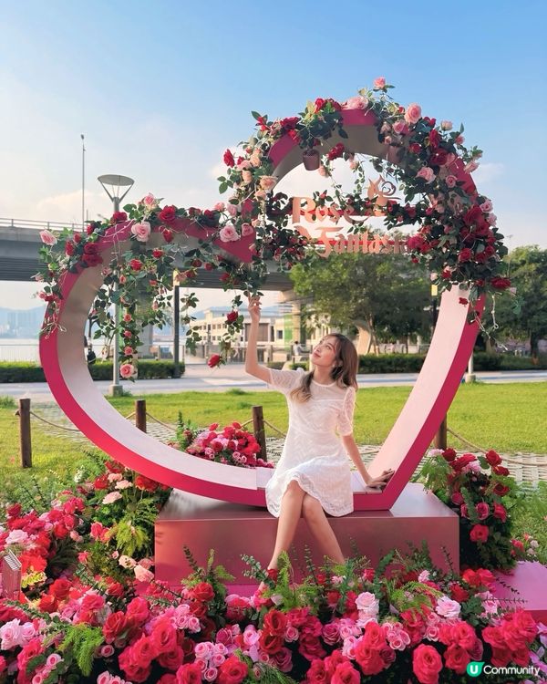 港島玫瑰園🌹打卡攻略！浪漫爆燈！💖
