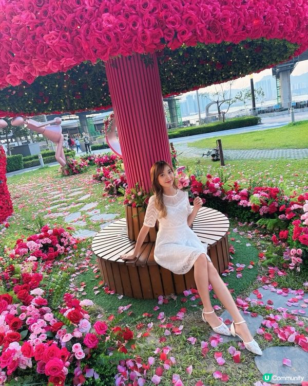 港島玫瑰園🌹打卡攻略！浪漫爆燈！💖