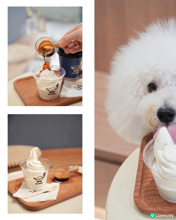 怪獸大廈新Cafe！毛孩友善🐶🍦 夏日必試！
